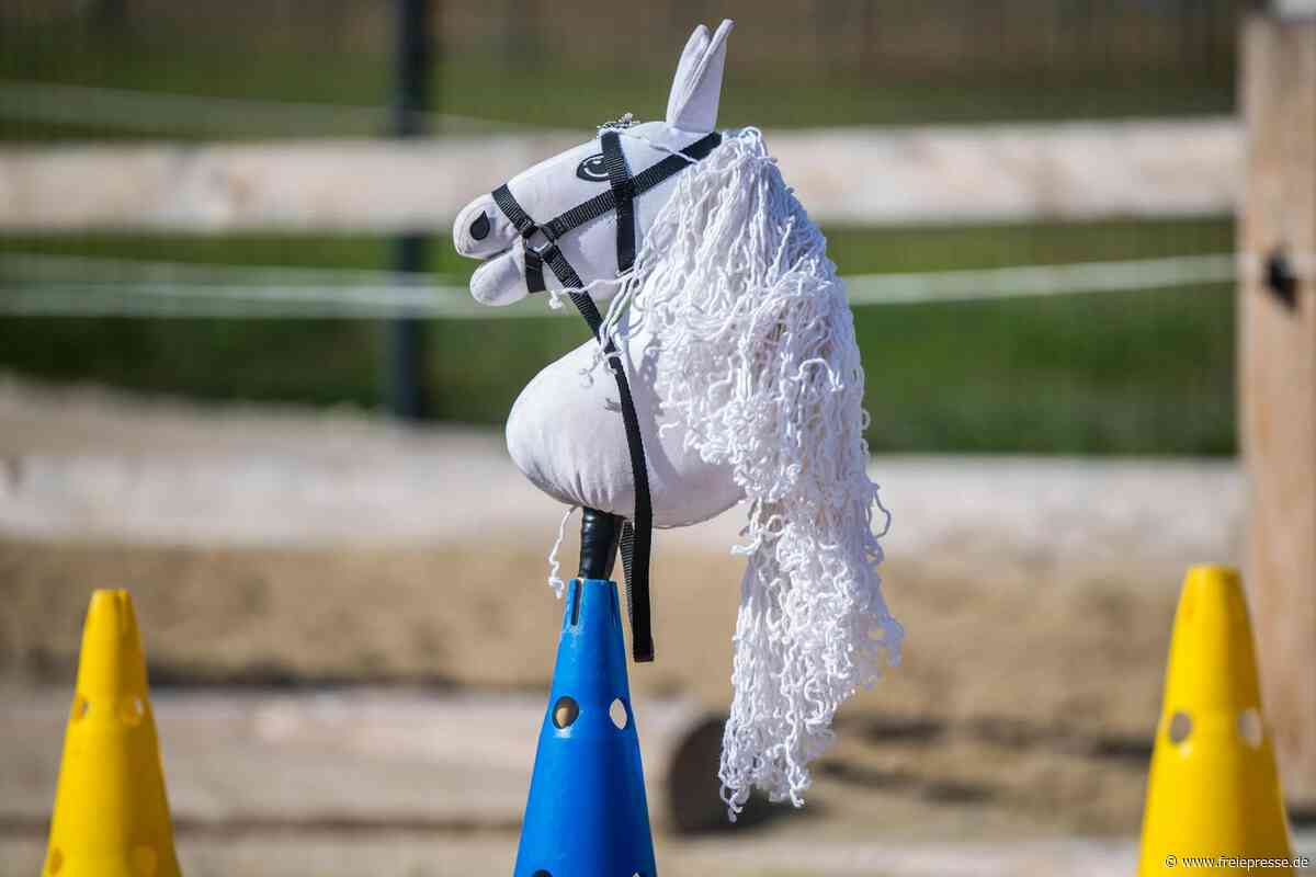 Zwischen Begeisterung und Häme: Hobby Horsing ist in Oelsnitz im Erzgebirge angekommen