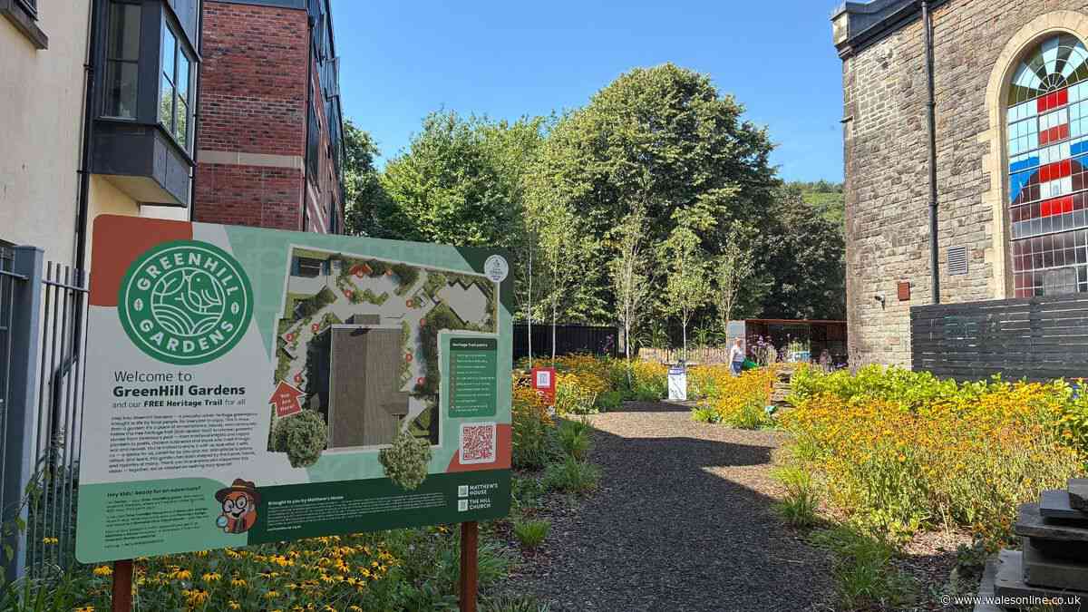 The city centre graveyard in Swansea that's now a flourishing community garden