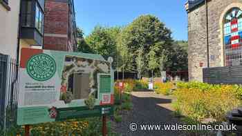 The city centre graveyard in Swansea that's now a flourishing community garden