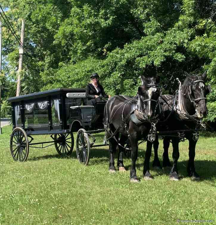 Was that a horse I just saw on East Tremont Avenue?