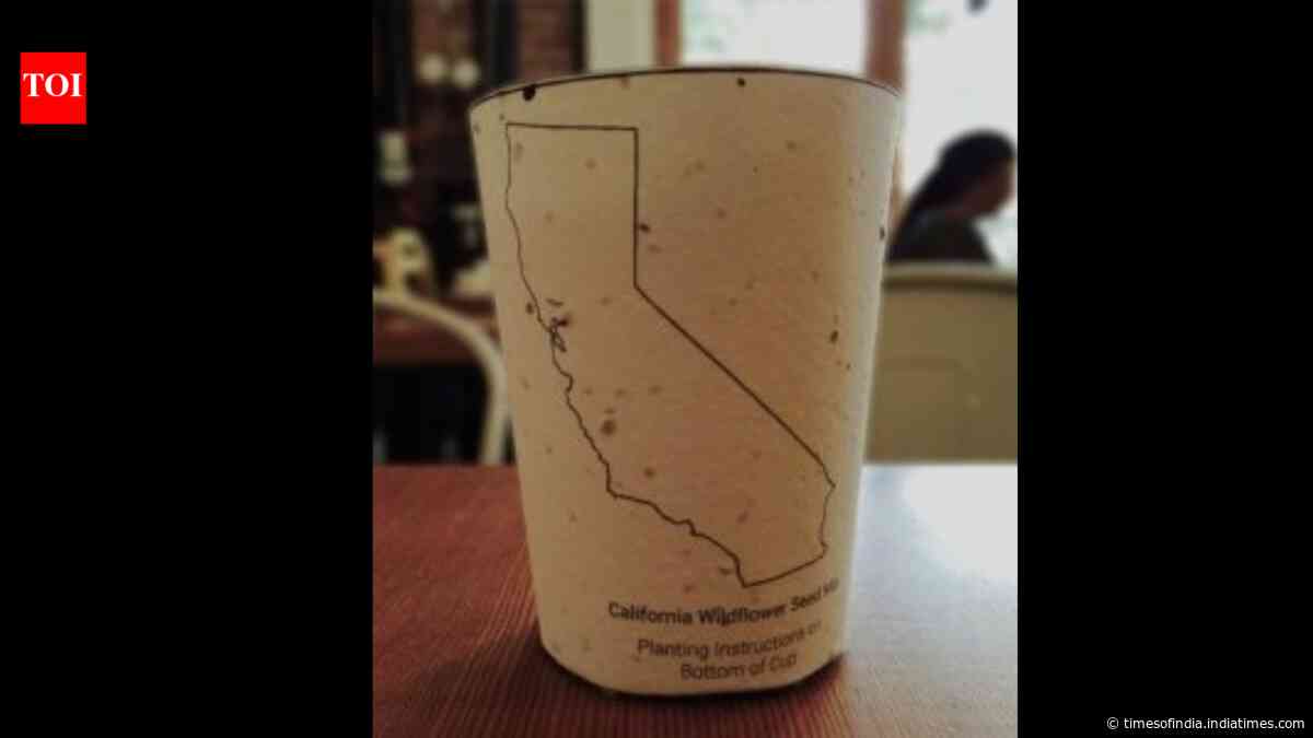 This coffee cup hid seeds in its paper; plant it after your last sip