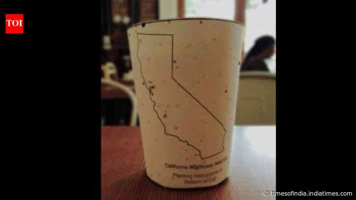 This coffee cup hid seeds in its paper; plant it after your last sip