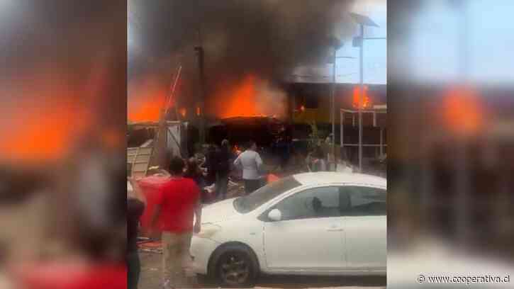Incendio afecta a campamento en el sector La Chimba de Antofagasta