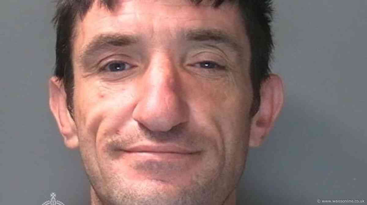 'It's my boyfriend! Wagwan?' Swansea couple's bizarre exchange in court as they're both sentenced