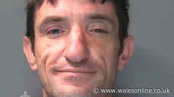 'It's my boyfriend! Wagwan?' Swansea couple's bizarre exchange in court as they're both sentenced