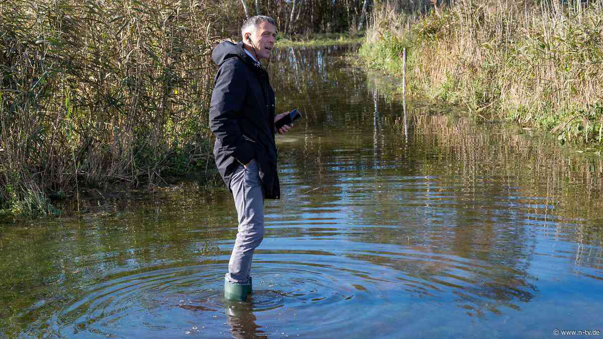 Brächte neuen linken Realismus: Rügener Landrat fordert Offenheit gegenüber der AfD