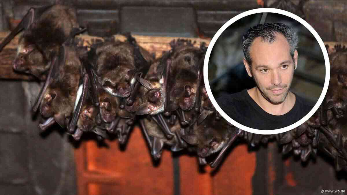 NABU-Experte warnt: Auch in NRW droht Fledermaus-Invasion durch Kippfenster