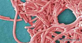 TTC cooling tower is source of Toronto legionnaires’ outbreak: public health