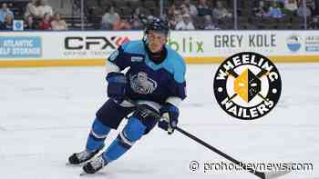Nailers agree to terms with Pitoscia