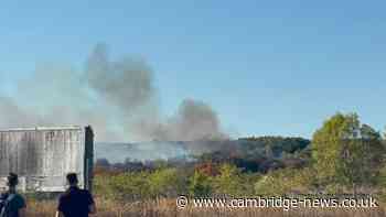 Fire breaks out at nature reserve as 40 firefighters rush to scene