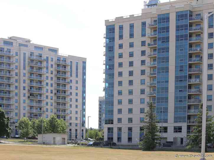 More rentals available in Kingston, survey says