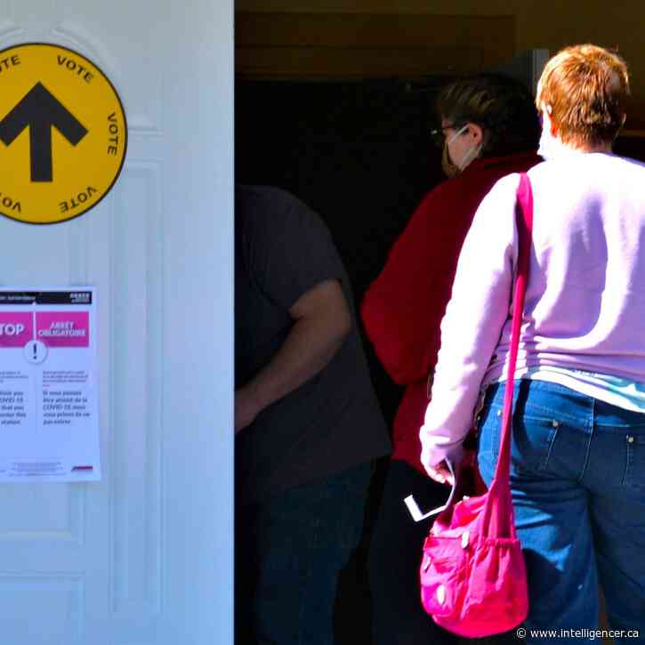 Nine trustee candidates seek election on four school boards in region