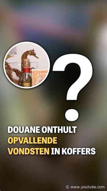 Douane onthult opvallende vangsten in koffers