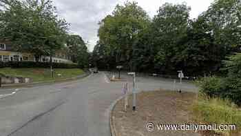 Man, 34, arrested after 14-year-old girl is 'raped by stranger in woods'