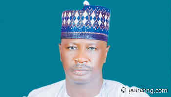 Sokoto gov’s aide urges North-West unity to fight banditry
