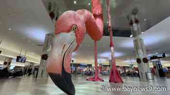Tampa International Airport's giant flamingo 'Phoebe' celebrates 4th birthday