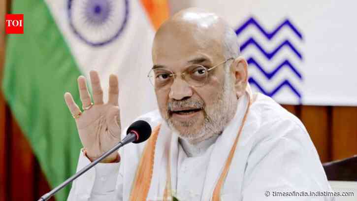'Country is not a dharamshala': Amit Shah sets target for illegal immigration-free India