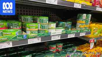 Can you eat too much tinned tuna?