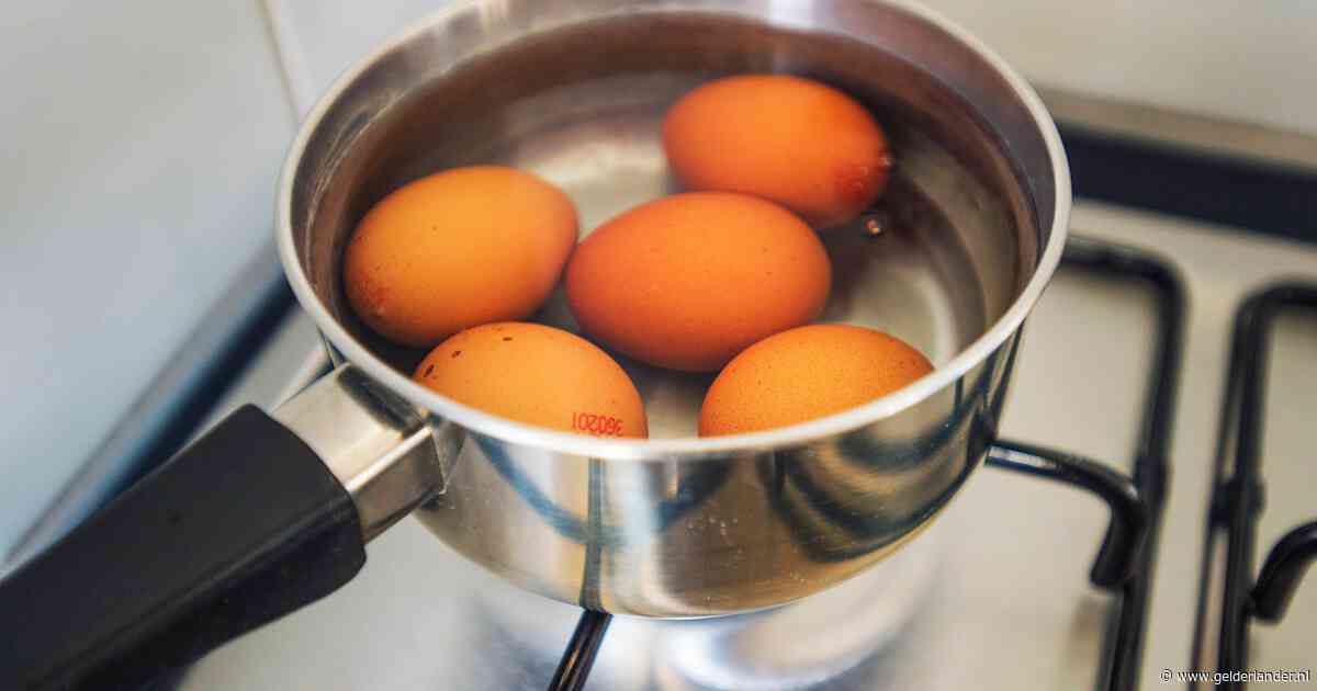 Grote salmonella-uitbraak vlak over de Belgische grens; zo weet je of je veilig een eitje kunt eten