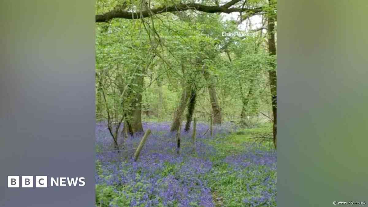 Villagers delighted 3,000 homes removed from plan