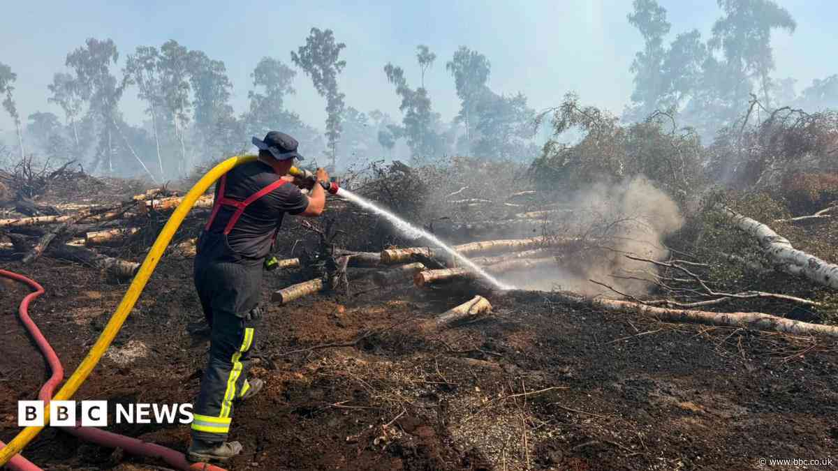 Holme Fen fire stood down as major incident