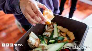 More food waste bins to be rolled out across county
