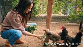 Meghan shares cryptic post about her chickens after reports Sussexes will leave beloved birds behind in Montecito after move to Britain