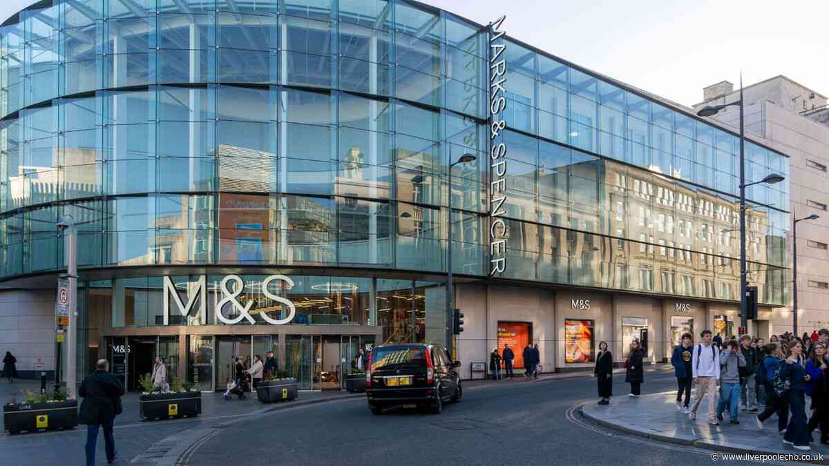 M&S autumn 'jacket of dreams' that shoppers say gives 'Bottega vibes'