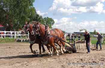 Faith-based farm group backs fall fairs in seven northeastern Ontario communities
