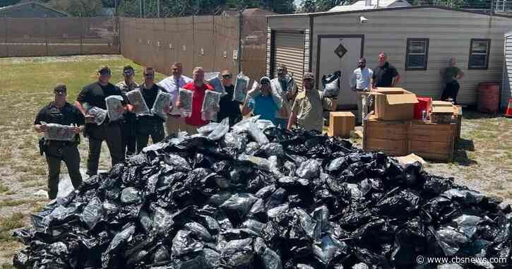 Georgia authorities intercept 1,800-pound marijuana shipment from California; sheriff warns of growing illegal market