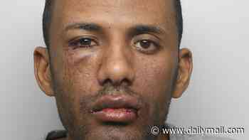 Sudanese asylum seeker who arrived in UK after claim was rejected in France lay in wait on high street for lone woman before slashing her 30 times with a broken bottle