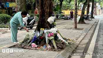 Rumours swirled after a Vietnamese teen was run over - then came a stunning admission