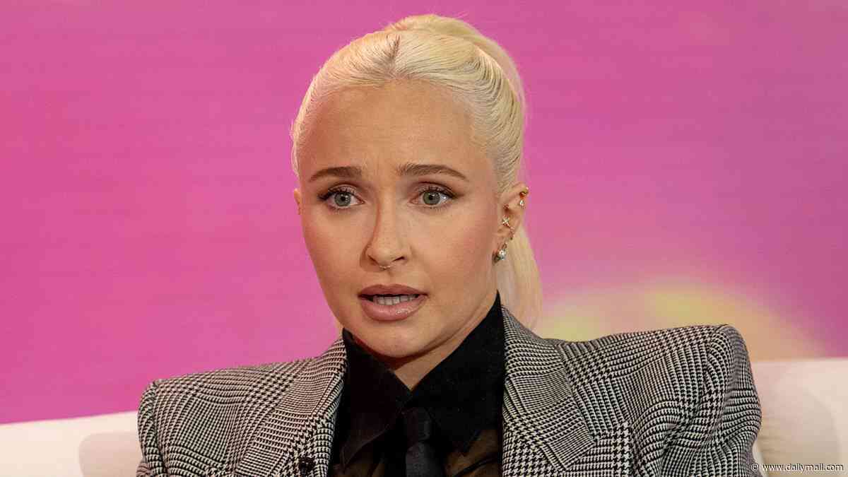 Hayden Panettiere's rep slams 'disrespectful' speculation and insists there is 'much more to the story' amid death investigation