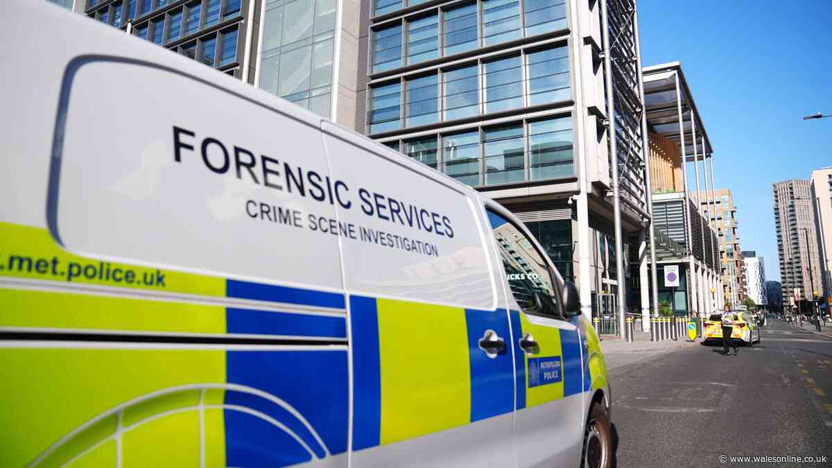 Murder investigation launched after daytime stabbing at council offices