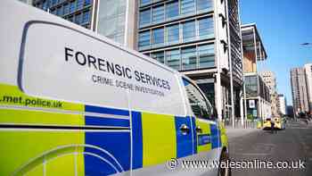 Murder investigation launched after daytime stabbing at council offices