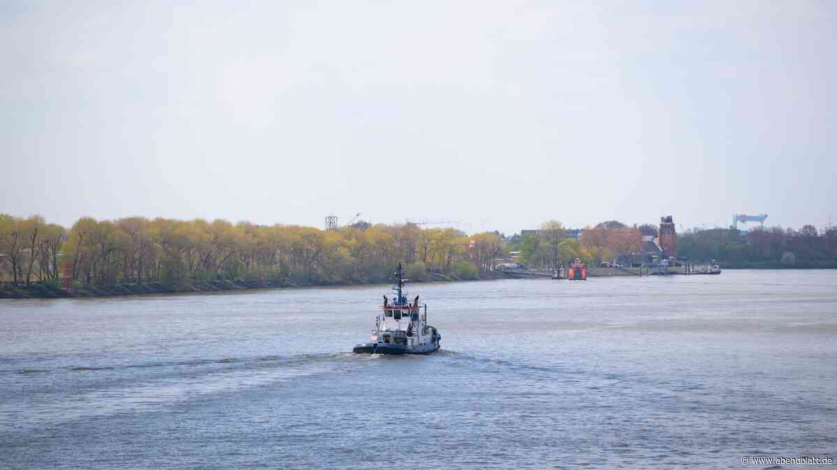 Fische in der Elbe: Umweltministerium veröffentlicht Liste mit gefährdeten Arten