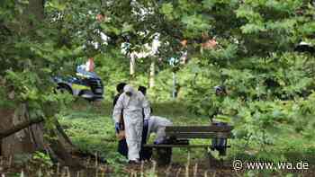 Streit eskaliert, 20-Jähriger stirbt: Angreifer flüchtet nach tödlicher Attacke