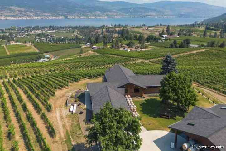 Spill that Wine: Lightning Rock summer