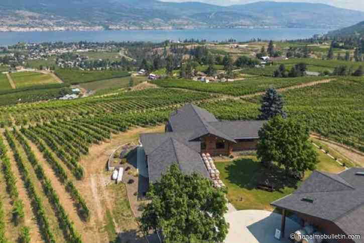Spill that Wine: Lightning Rock summer