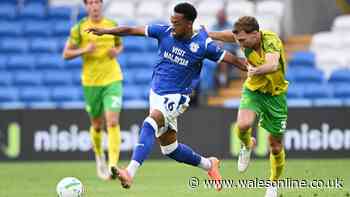Cardiff City v Norwich City LIVE: Score updates as visitors double lead