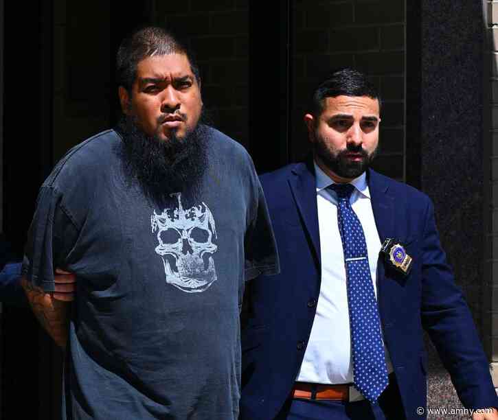 Brooklyn gunman arrested for shooting dog during walk with owner