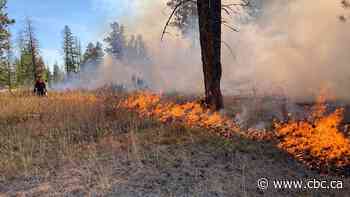 After devastating Summerland fire, B.C. faces call to 'cut red tape' for prescribed burns
