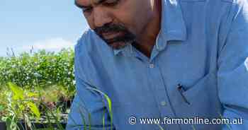 No single answer to paraquat restriction challenge but alternatives do exist