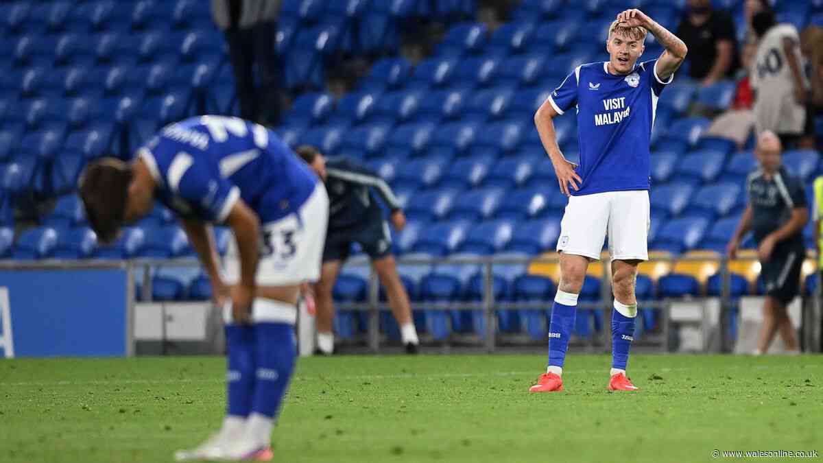 Mixed Cardiff City ratings v Norwich as midfielders stand out amid flat display