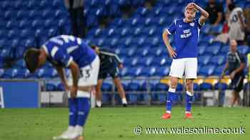 Mixed Cardiff City ratings v Norwich as midfielders stand out amid flat display