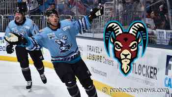 Goatheads add Drevitch