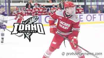 Driscoll signs with Steelheads