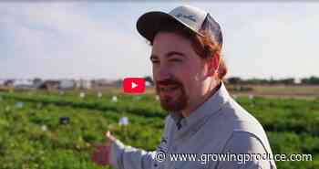 Video: Take in an Immersive Vegetable Growing Experience