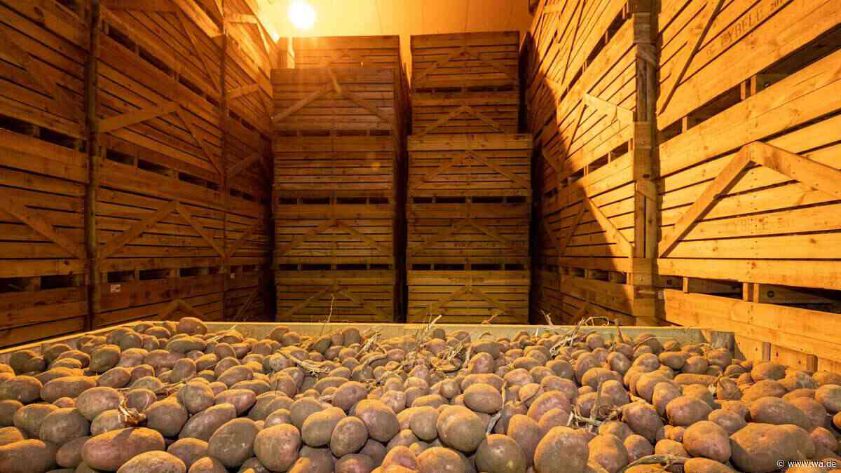 Omas Kartoffel-Geheimnis: Dieser Trick hält die Knollen monatelang frisch