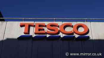 Tesco recalls Finest salad over E. coli fears as shoppers warned 'do not eat'